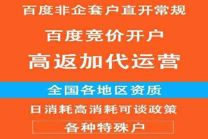 百度推广全解析：某公司如何通过推广获得高流量